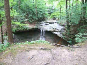A creek falls over a rock ledge; the area is surrounded by green trees and shrubs.