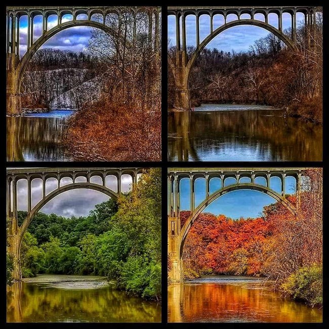 A collage of 4 images of the same concrete bridge arch. Winter and spring are above, and summer and fall are below. The arch and changing colors of the vegetation are reflected in the river below.
