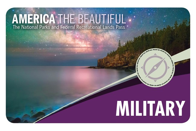 2019 military pass  image with a view of a lake with a forested island in the background with the Northern Lights coloring the sky in pinks, greens, and yellows.
