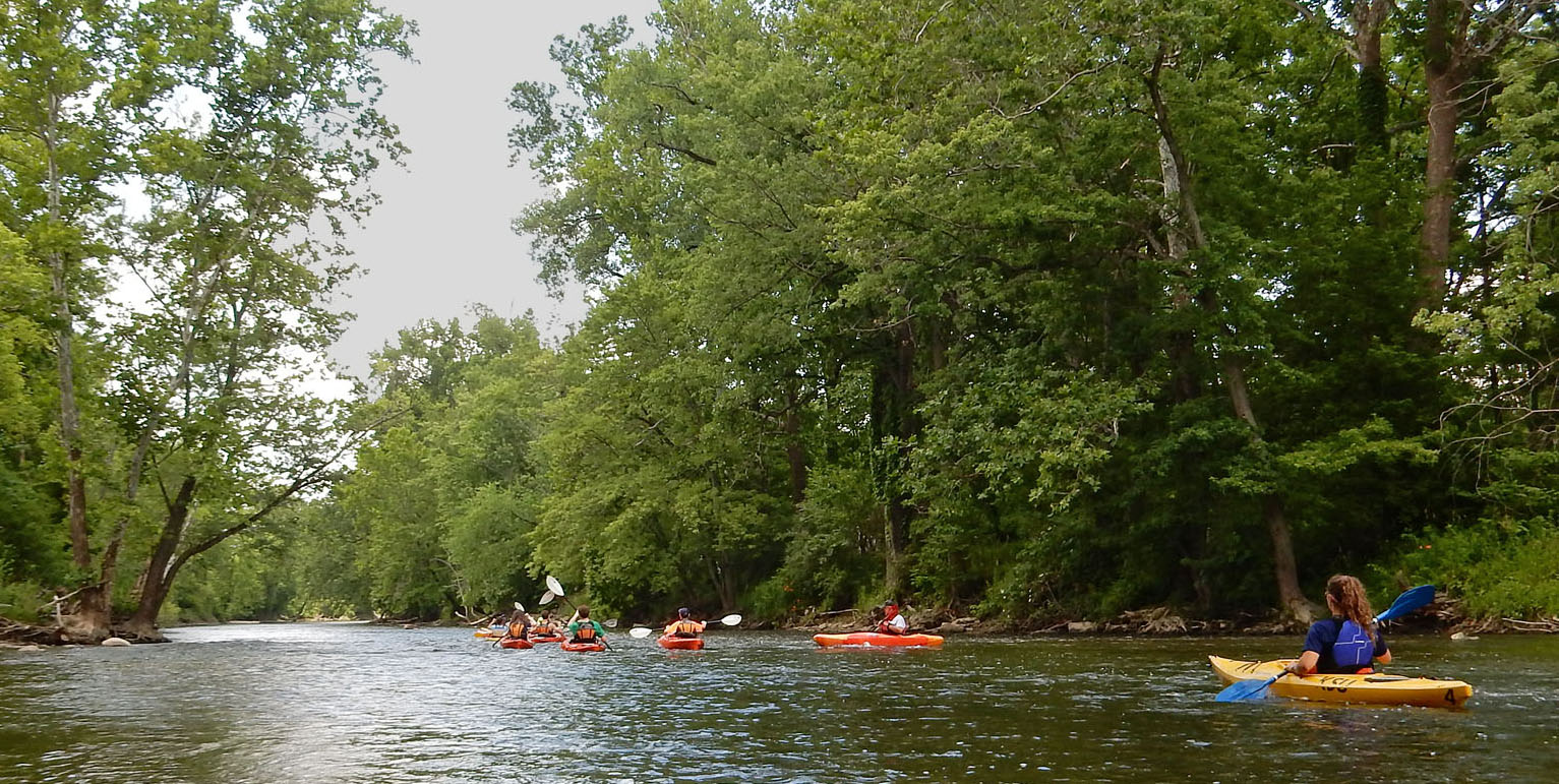 Kayak Kayak