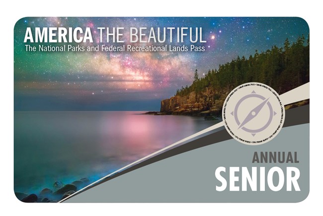 2019 Senior Annual pass  image with a view of a lake with a forested island in the background with the Northern Lights coloring the sky in pinks, greens, and yellows.