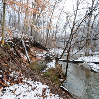 A bend in a creek at the bottom of a wooded hillside, a dusting of snow on the ground.