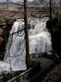Brandywine Falls through the tress in winter.