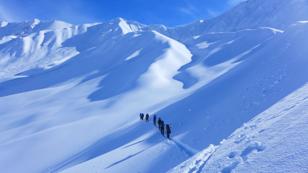 Eldridge Glacier Avalanche Training