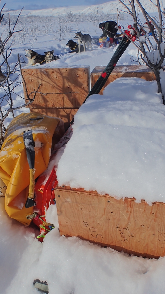 Wooden boxes sit in the snow with sled dogs in the distance