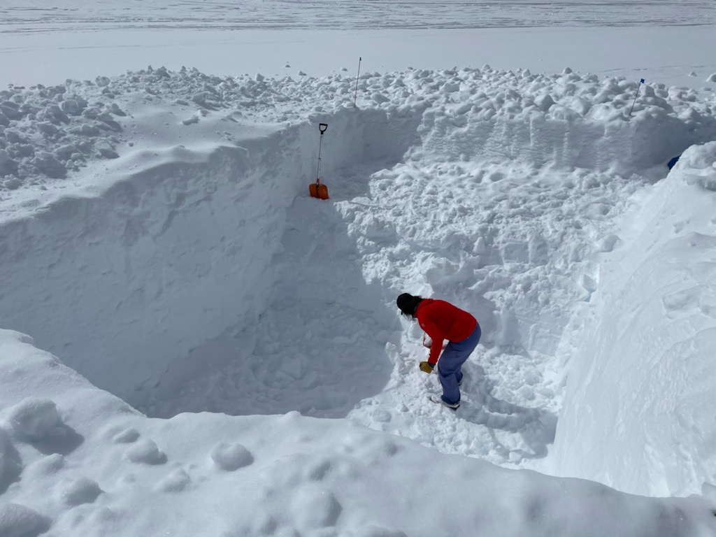 A woman shovels snow at the bottom of a deep square hole in the snow