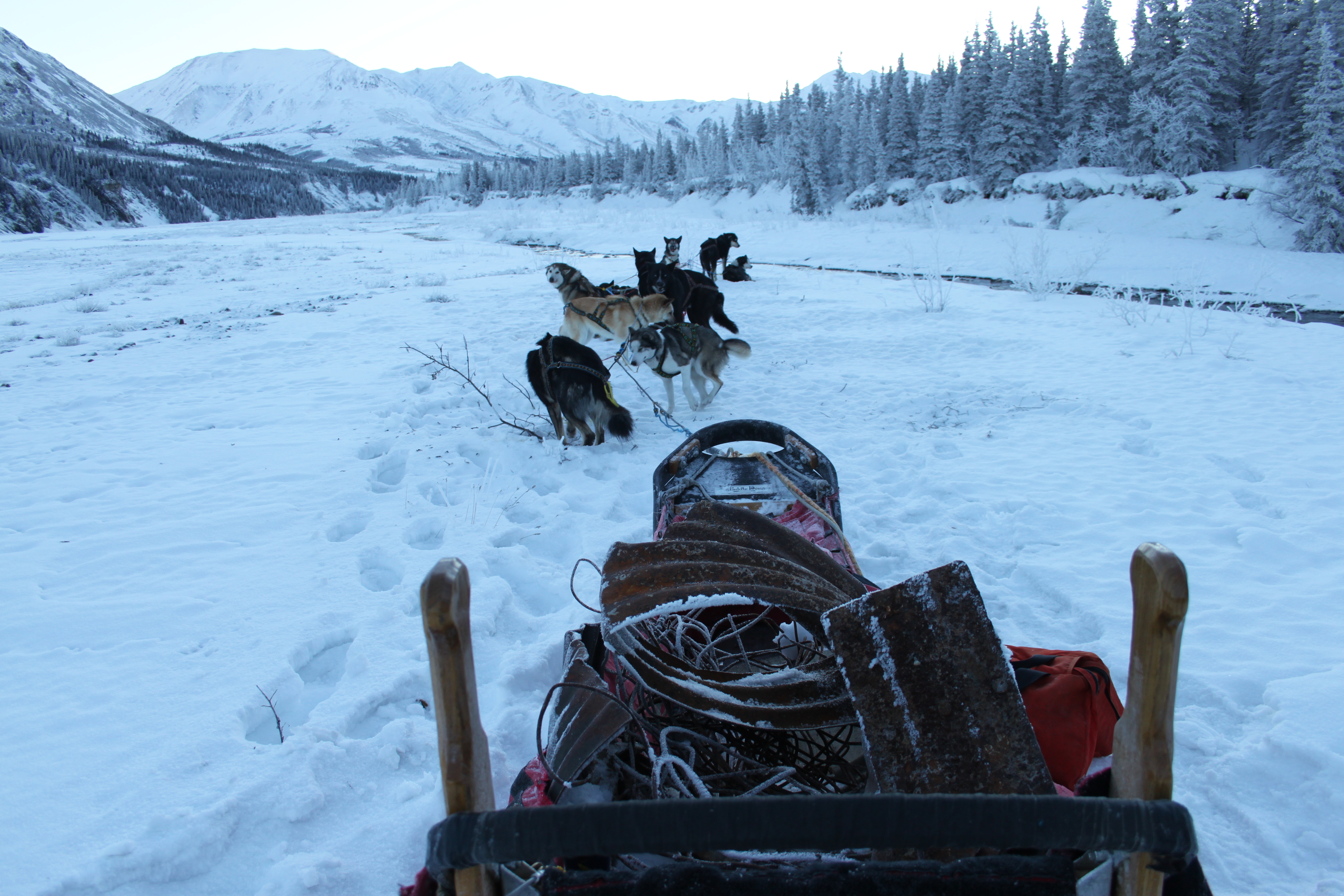 Debris in Sled