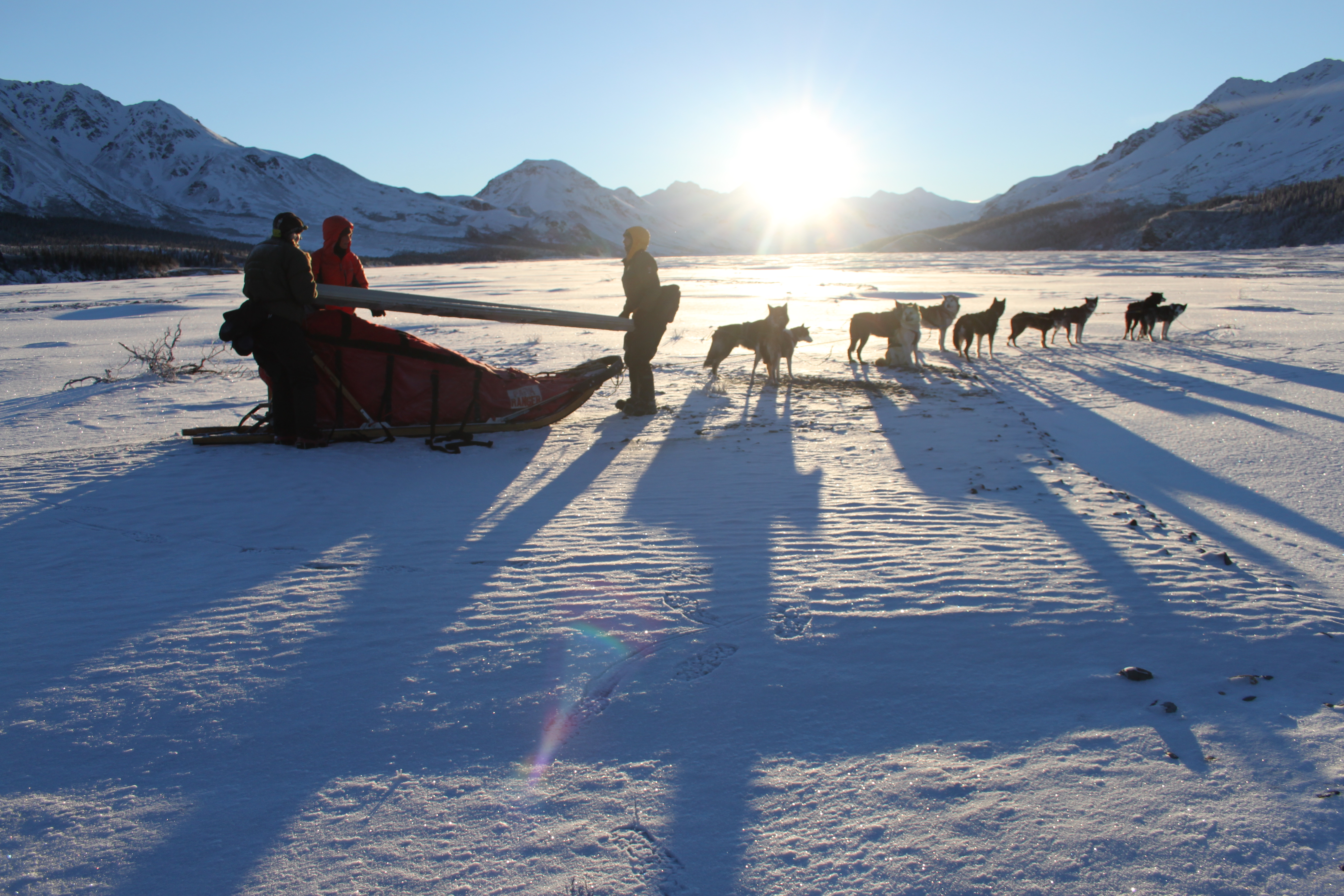 Kennels staff load debris onto sled