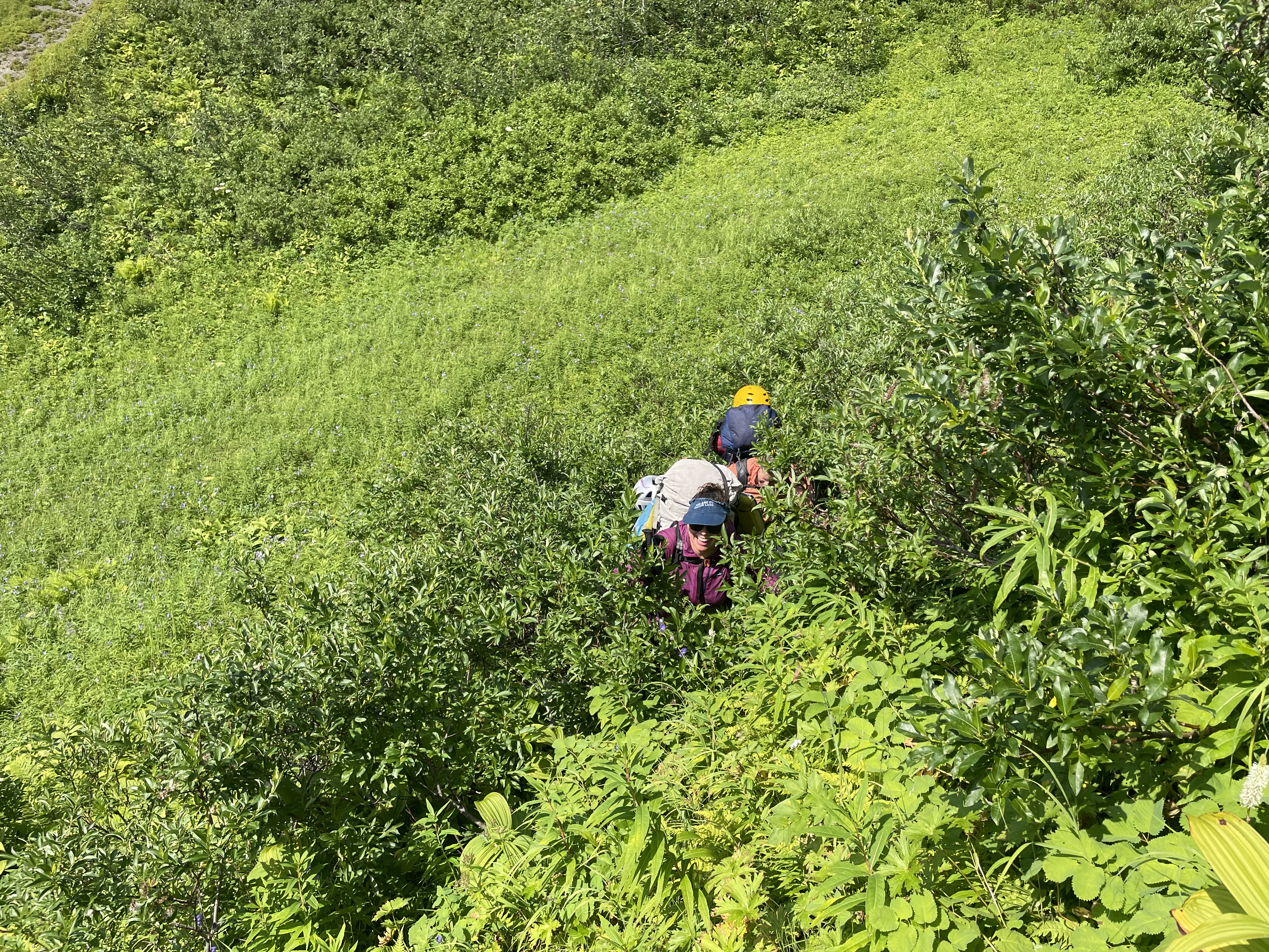 Backpackers bushwhacking through head-height vegetation