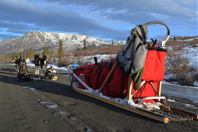 a sled on a dirt road, dogs out in front