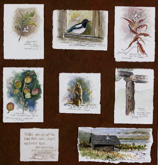 watercolor sketches of flowers, birds, squirrels and a log cabin