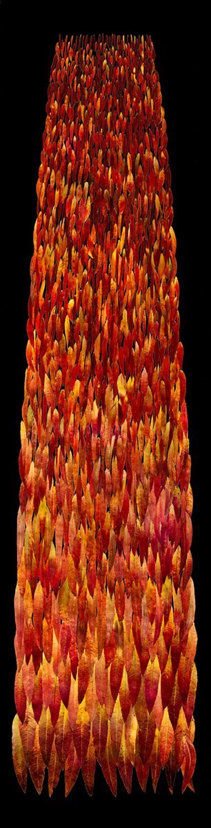digital painting on canvas of red leaves