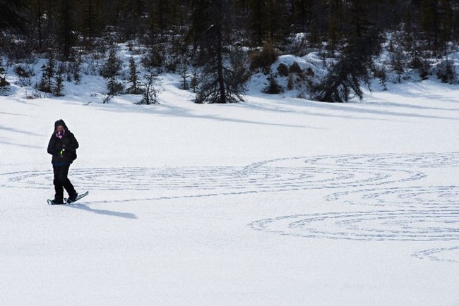 a woman in a snowy meadow walking on snowshoes in circles