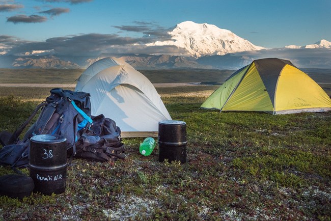 Tents and camping gear with a snow covered mountain in the background