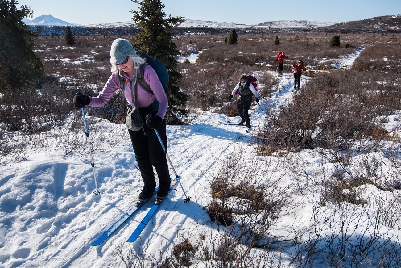 people skiing in a snowy landscape