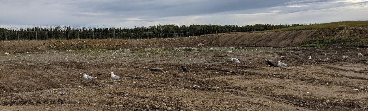 An expanse of gravel and dirt, barren ground with mounded, dirt hills on the edges.