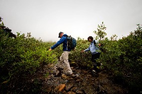 Two hikers wade through tall shrubs