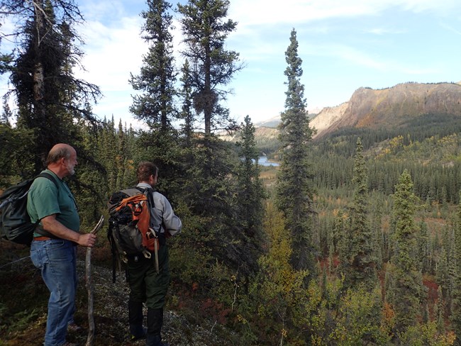 Two hikers stand at the top of a forested slope. The men look out across a wooded valley to a mountain and river in the distance.