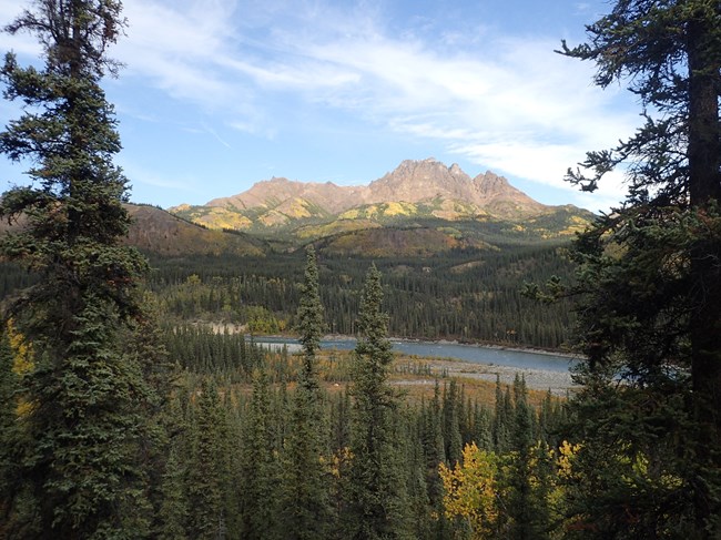 A landscape looking down a forested hill onto a river. On the far side of the river, forested slopes rise up to a tall, rocky mountain. The green hillsides of spruce trees are mixed with yellow and orange fall colors from deciduous trees.