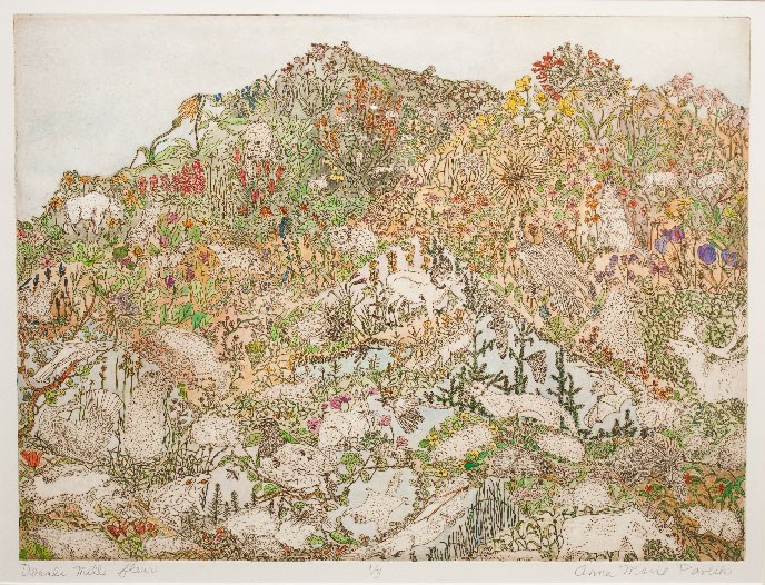 “Denali Mille-Fleur” 20" x 26” etching, watercolor on paper “Denali Mille-Fleur” 20" x 26” etching, watercolor on paper