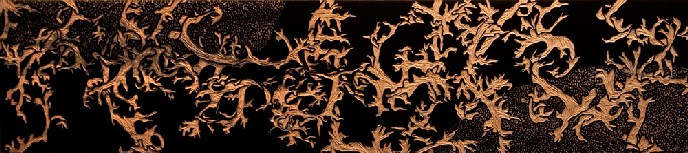 “Lichen Study” 9” x 40” carved basswood panel “Lichen Study” 9” x 40” carved basswood panel