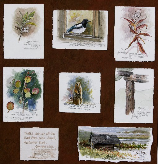 “Field Sketches” 28” x 27” watercolor on paper “Field Sketches” 28” x 27” watercolor on paper