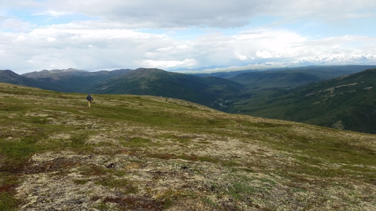 a person walking across a tree-less mountain top