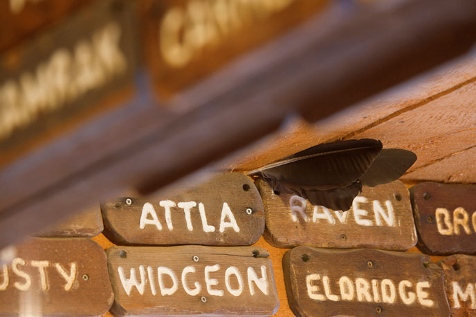 name plates of retired dogs