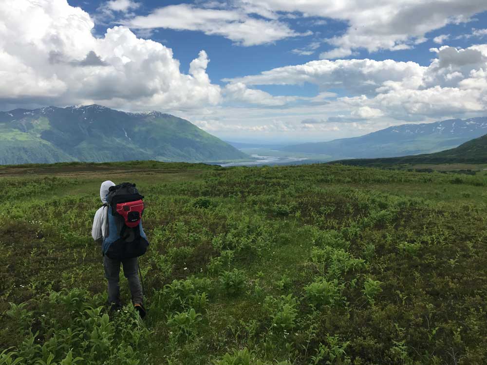 9 man with backpack standing in an alpine meadow
