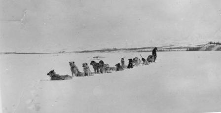 Dog Team on McKinley River - historic photo