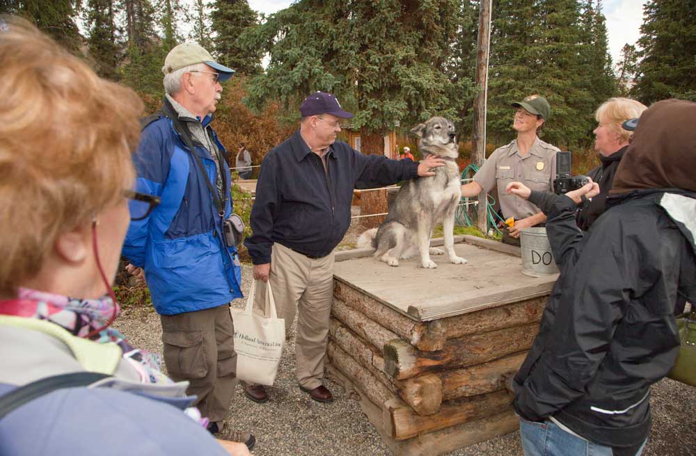 people standing near a dog on a doghouse