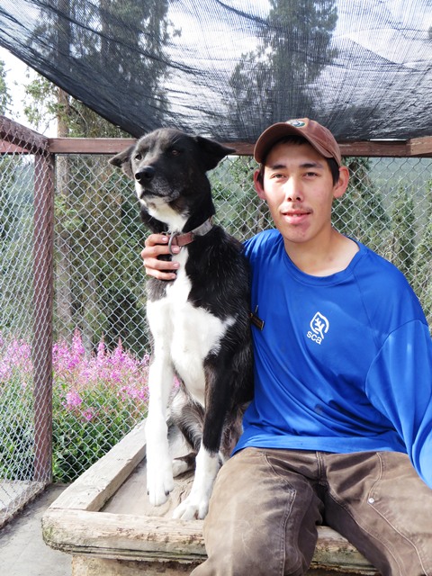 A volunteer sits next to a sled dog.