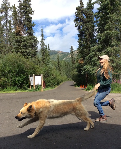 Volunteer runs alongside sled dog