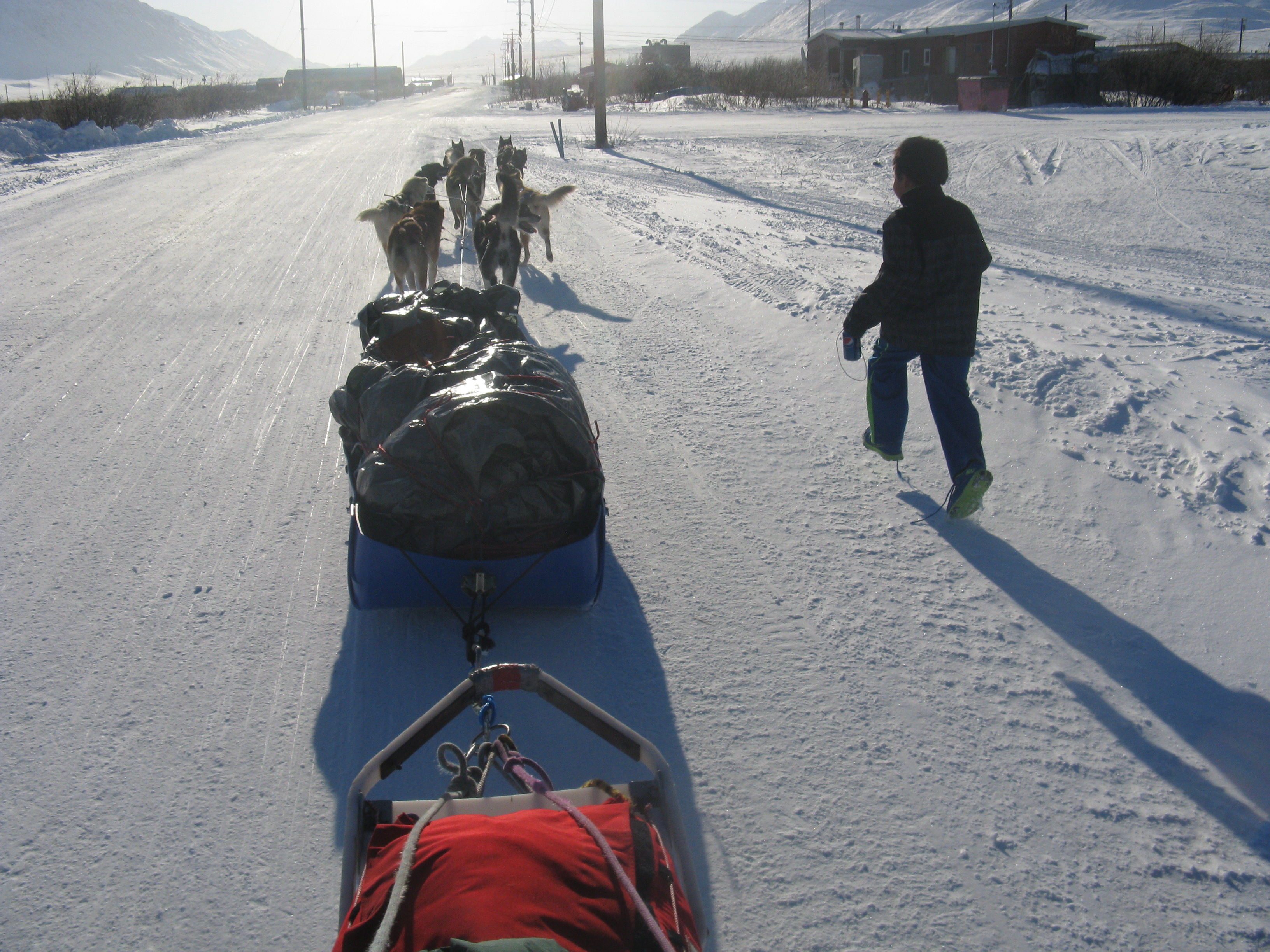 youth and dog team