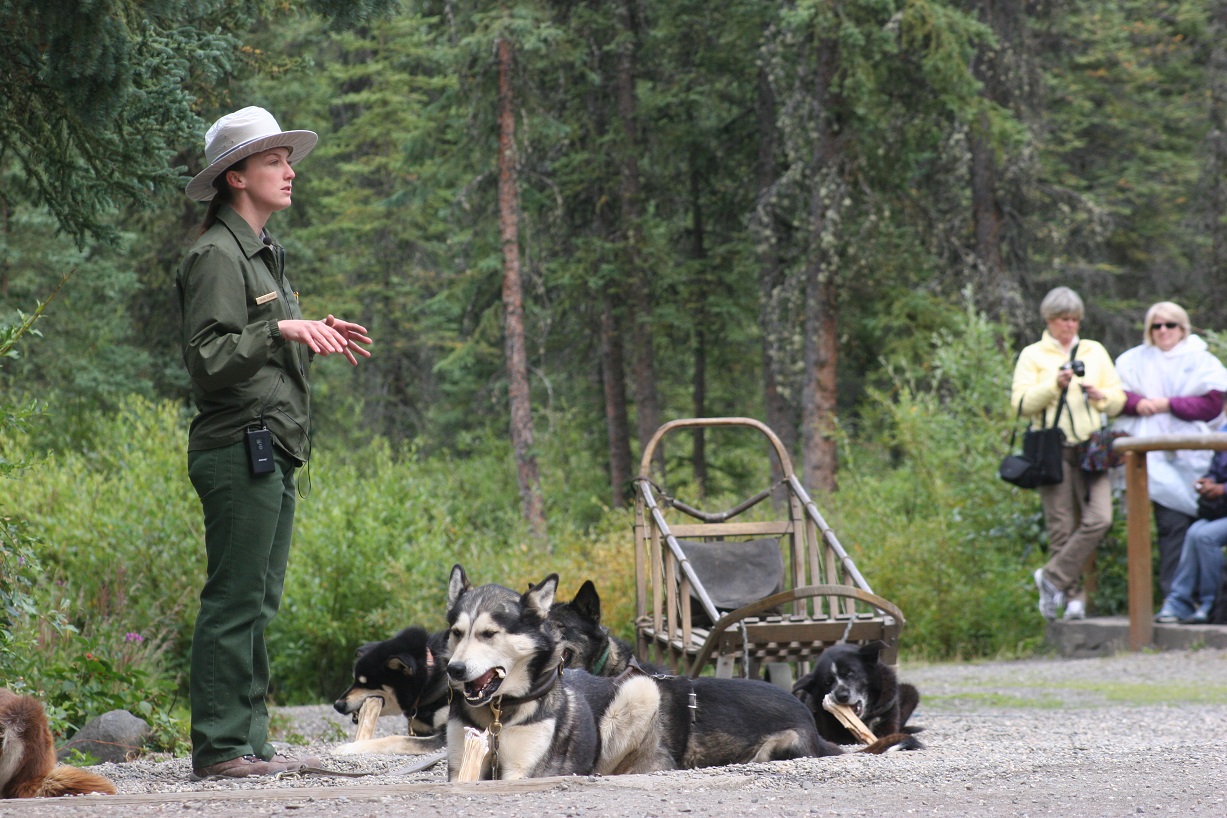 Ranger giving summer dog demo with traditional style sled