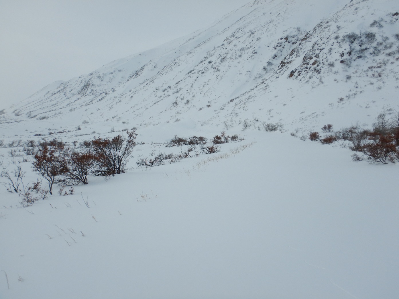 A snow covered road winds around the base of a hillside. The fresh snow surface is smooth and untouched.