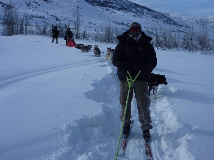 skiier and dog team