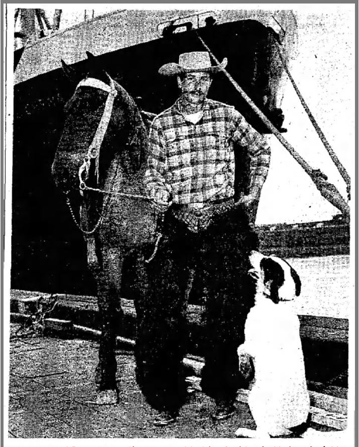 Started from the Bottom A Mission from Death Valley to Denali on Horseback (U.S. National Park