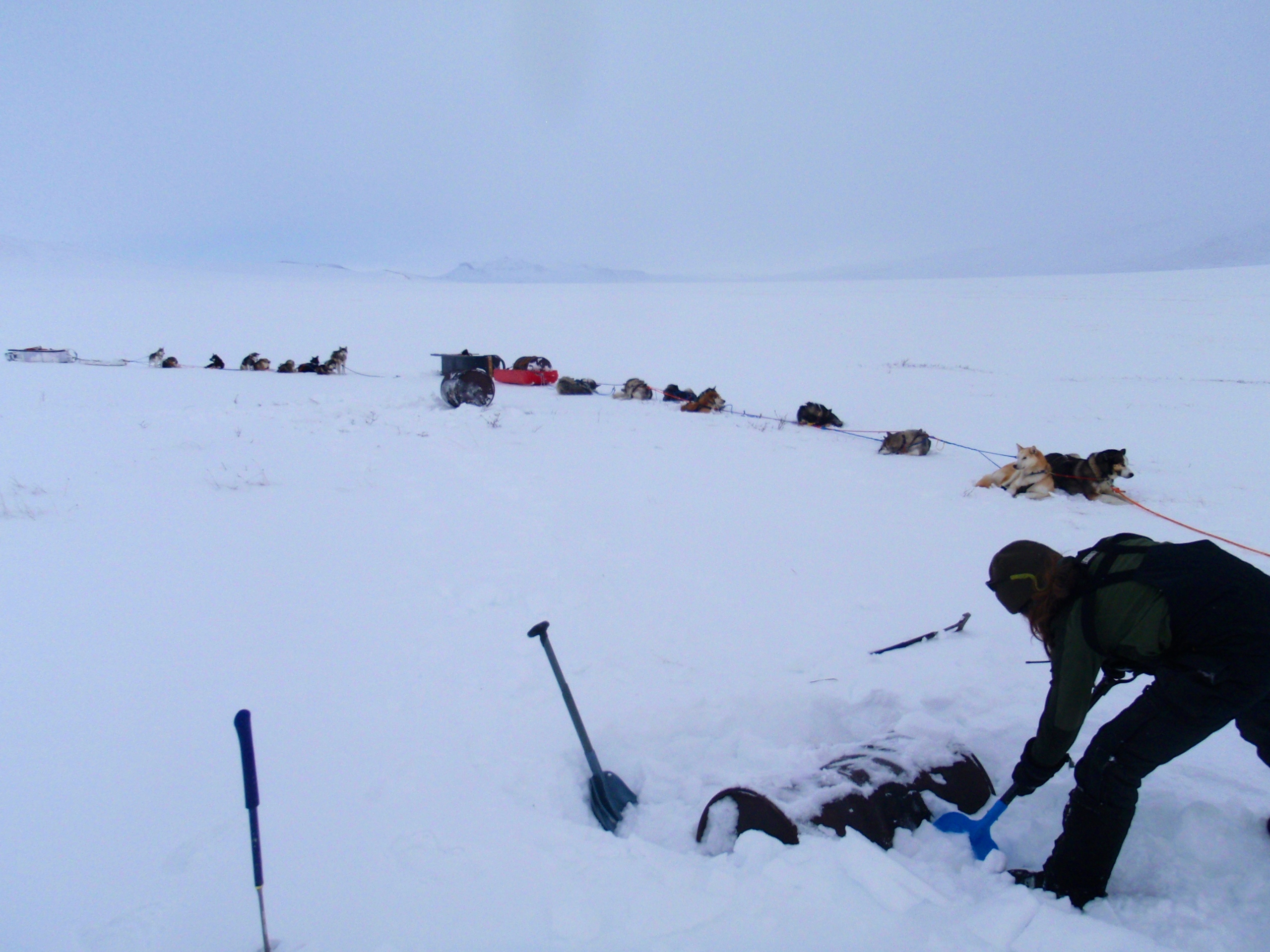 ranger digging out barrel in GAAR