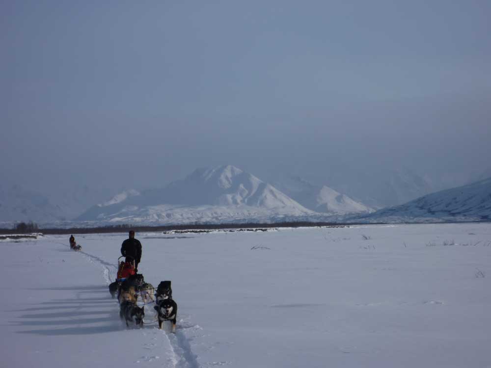 modern-dog-team-on-McKinley-River-NPS-photo two dog teams mushing across a frozen river