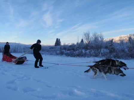 skier on gee pole - jr