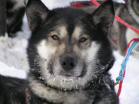 typhoon head shot