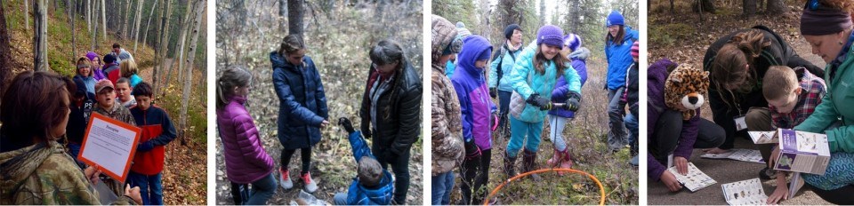 Denali Science School students learn about and explore the park with classroom activities and outdoor experiments.
