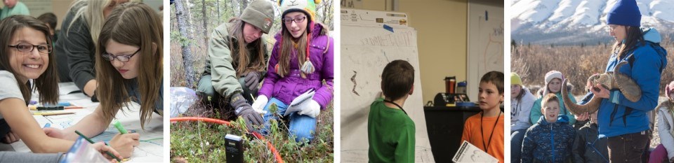 Denali Science School students learn about and explore the park with classroom activities and outdoor experiments.