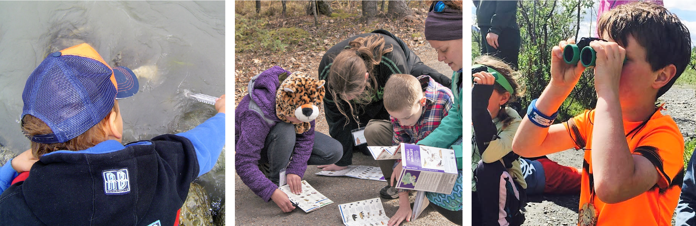 Children explore the park using science tools included in the Denali Discovery Pack