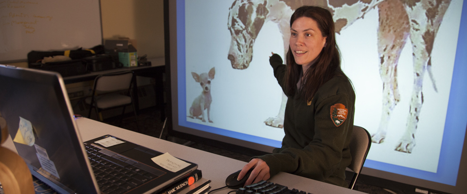 a ranger points to a presentation of dogs while using a computer
