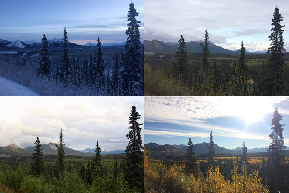 Four photos of Denali landscapes changing through the seasons.