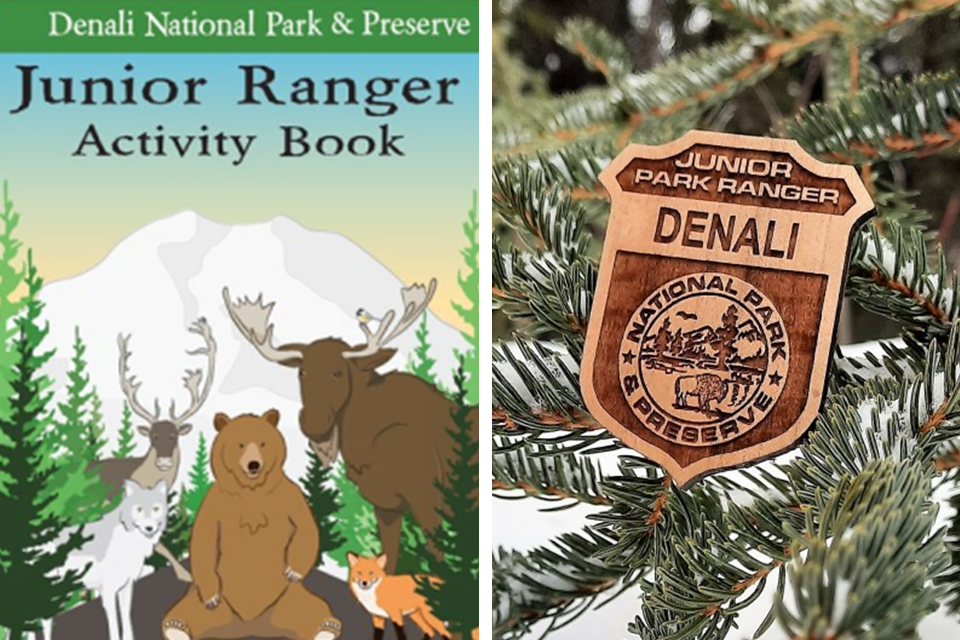 Front cover of Denali's Junior Ranger Activity Book featuring a group of cartoon animals; Denali Junior Ranger badge