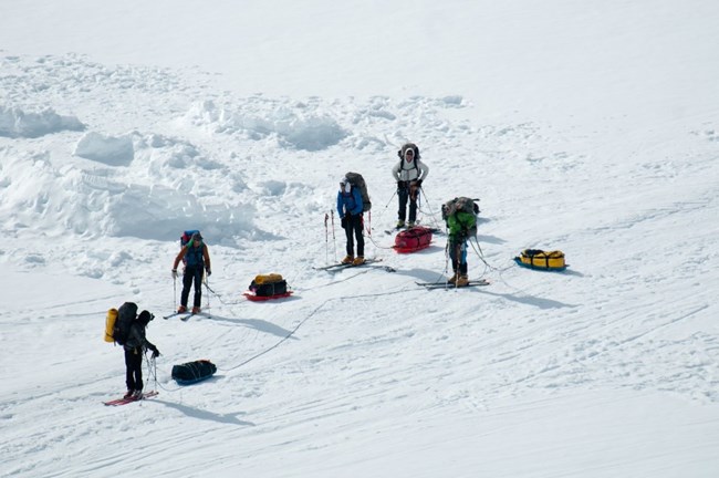Five people on skis pulling sleds up a glacier