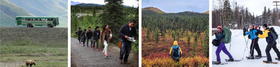 Visitors watch for wildlife waking in spring, hike in summer, marvel at brilliant colors in autumn, and snowshoe in winter